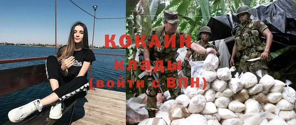 каннабис Корсаков