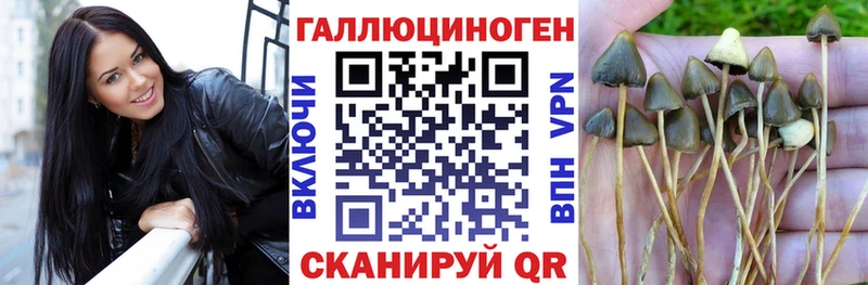 купить наркотик  Мелеуз  Псилоцибиновые грибы мухоморы 